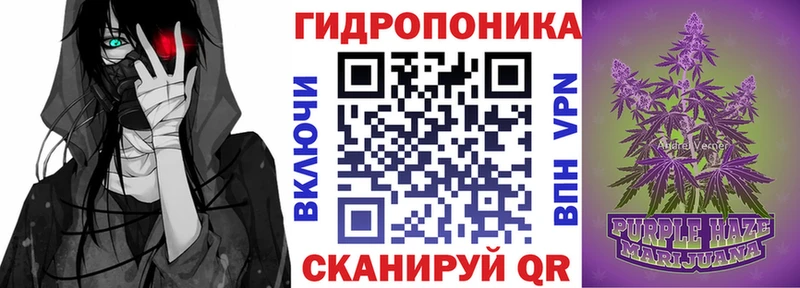 Купить закладку Новая Ладога КОКАИН  Марихуана  СК  MDMA  Меф мяу мяу  НБОМе  Амфетамин  ГАШ 
