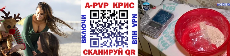 мориарти Telegram  Новая Ладога  Альфа ПВП крисы CK 