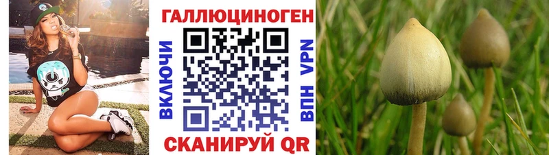 как найти закладки Новая Ладога kraken онион Псилоцибиновые грибы ЛСД